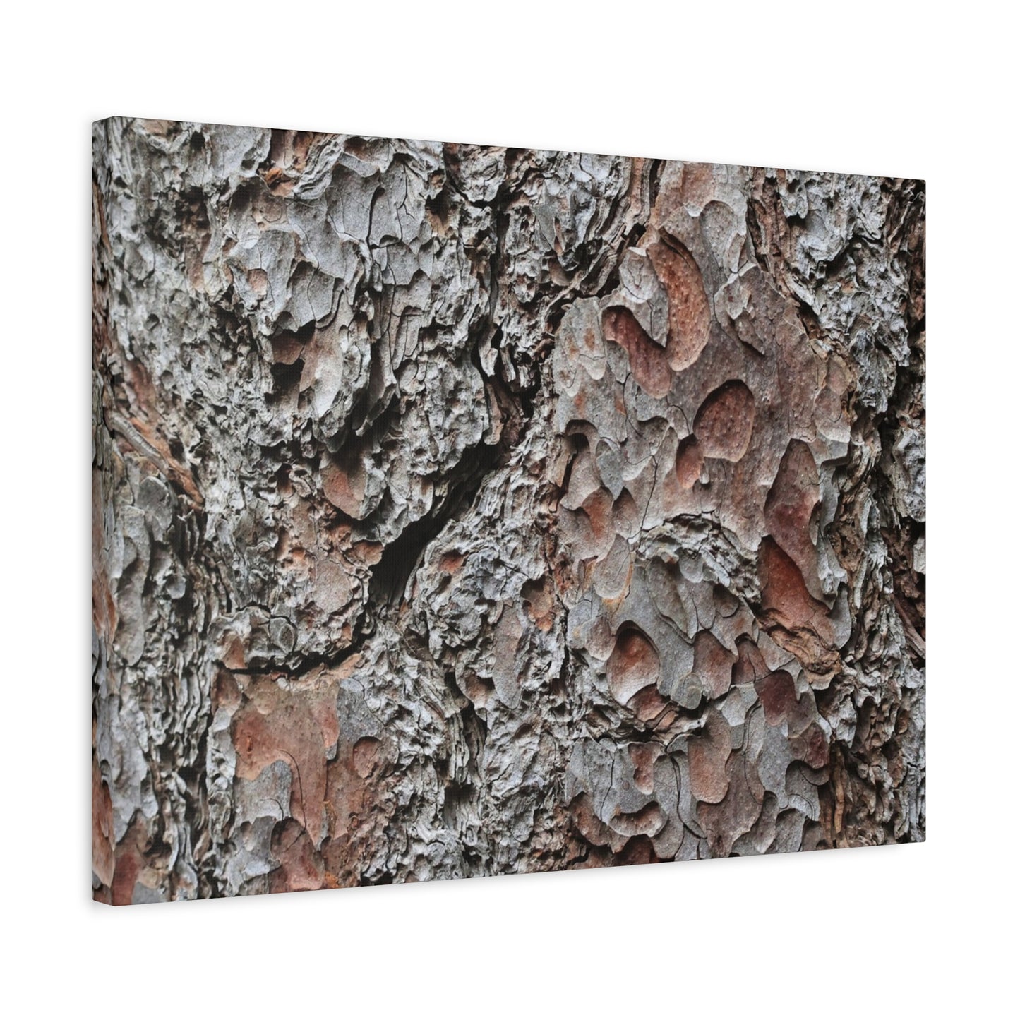 Textured Whispers of Bark - Unique Frameless Canvas Wall Art