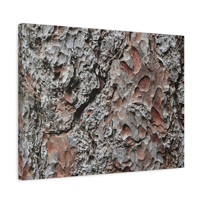 Textured Whispers of Bark - Unique Frameless Canvas Wall Art