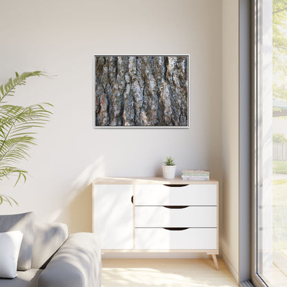 Bark Whispers - Unique Stretched Canvas Wall Art