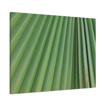Palm Pulse - Unique Frameless Canvas Wall Art