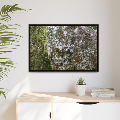 Lichen Landscape - Unique Stretched Canvas Wall Art