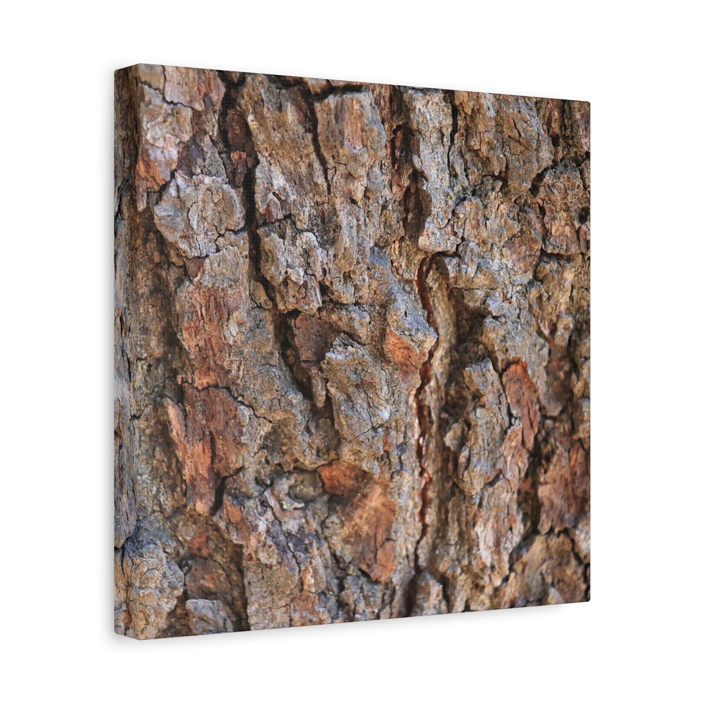 Roots of Time - Unique Frameless Canvas Wall Art