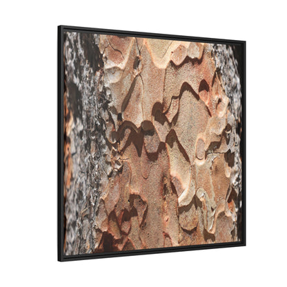 Rust and Stone - Unique Stretched Canvas Wall Art