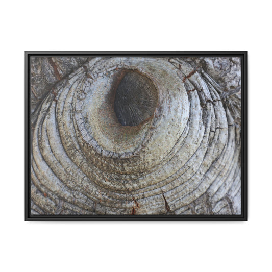 Echoes of Time - Unique Stretched Canvas Wall Art
