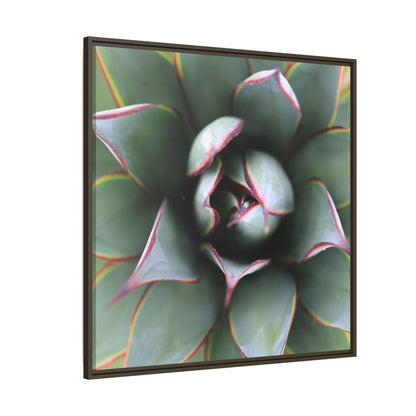 Spiky Elegance - Unique Stretched Canvas Wall Art