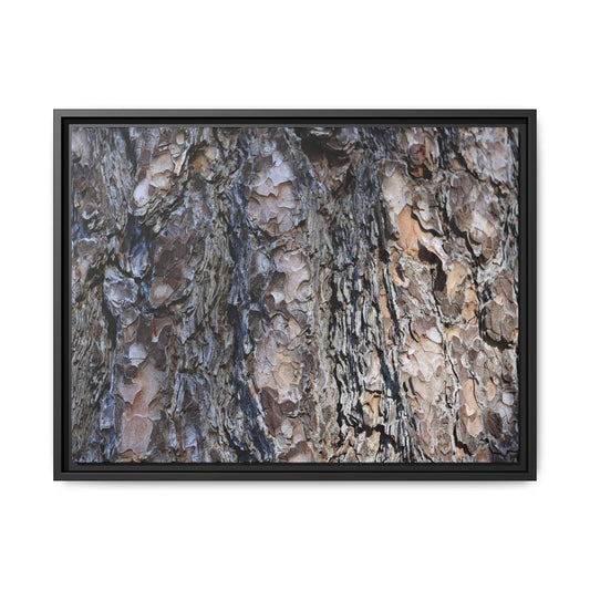 Weathered Patterns - Unique Stretched Canvas Wall Art