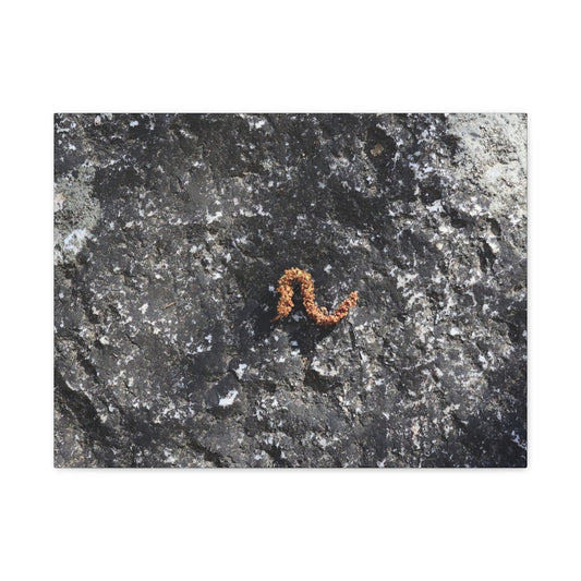 Earthen Serpent - Unique Frameless Canvas Wall Art