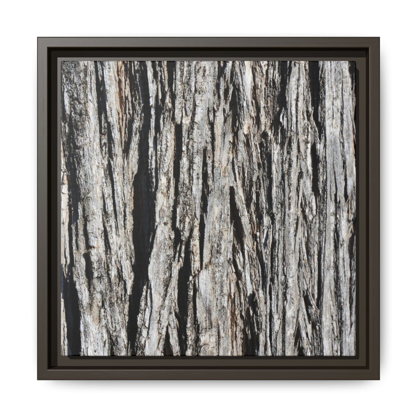 Nature's Abstract - Unique Stretched Canvas Wall Art