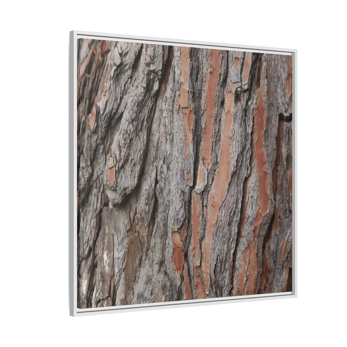 Woodland Layers - Unique Stretched Canvas Wall Art
