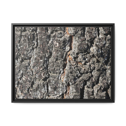 Aged Beauty - Unique Stretched Canvas Wall Art