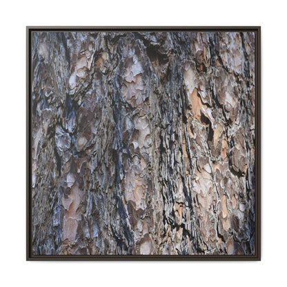 Weathered Patterns - Unique Stretched Canvas Wall Art