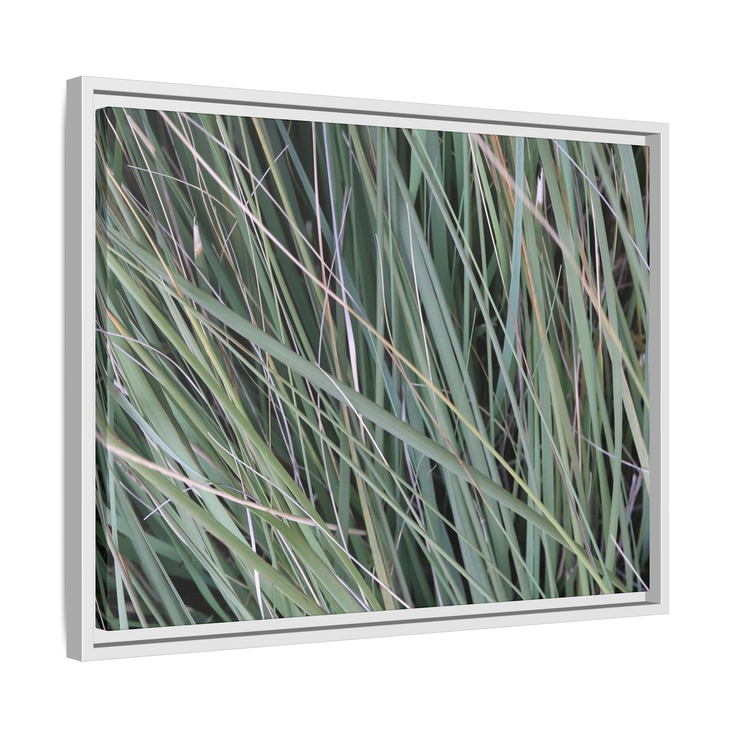 Grassland Symphony - Unique Stretched Canvas Wall Art