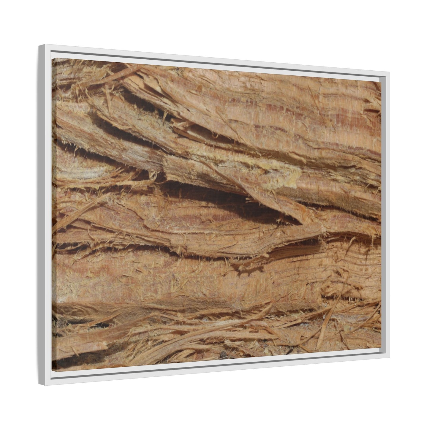 Splintered Bark - Unique Stretched Canvas Wall Art