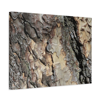 Tree Bark Symphony - Unique Frameless Canvas Wall Art
