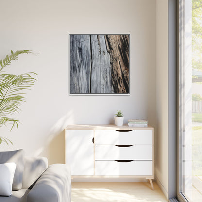 Wood's Lament - Unique Stretched Canvas Wall Art