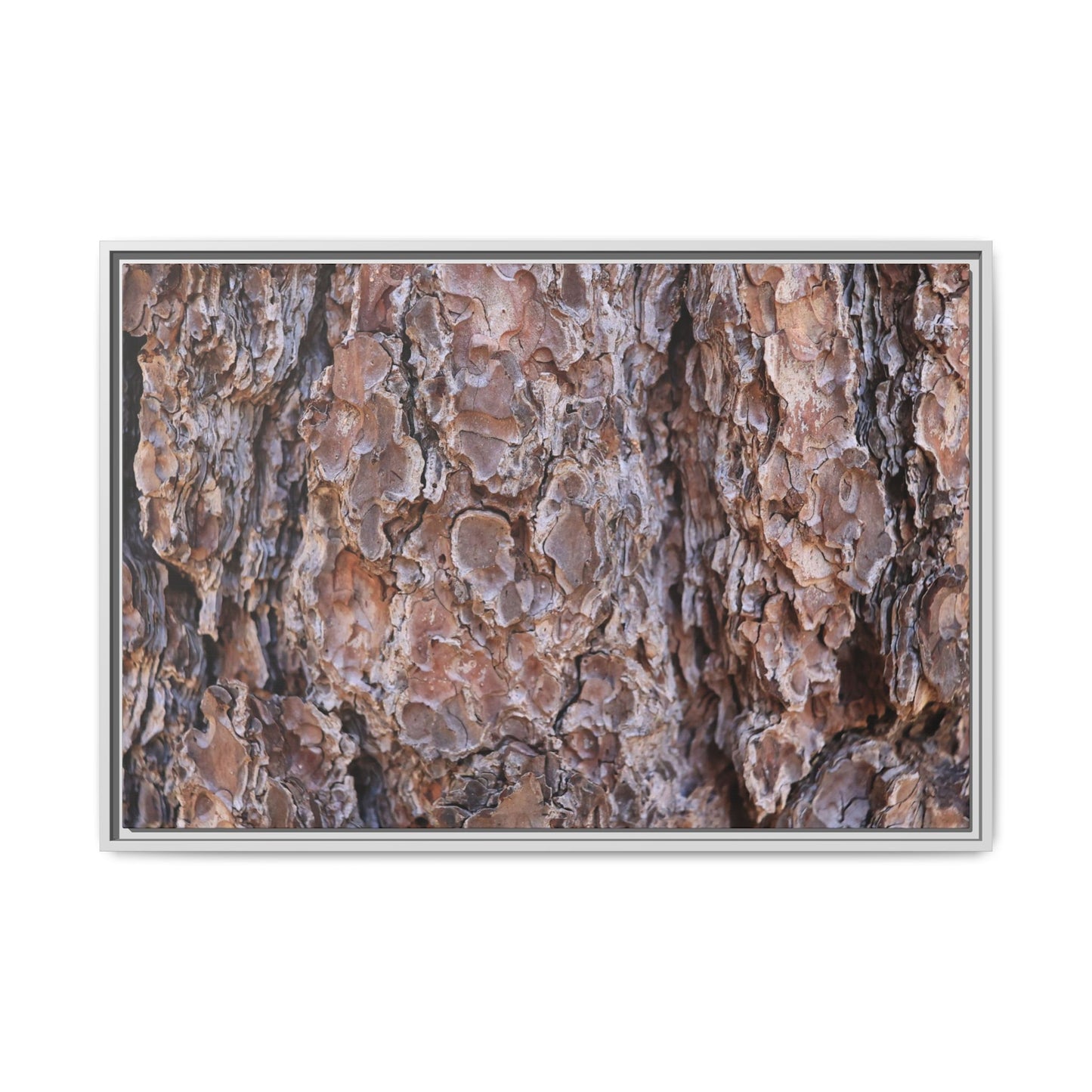 Woody Layers - Unique Stretched Canvas Wall Art
