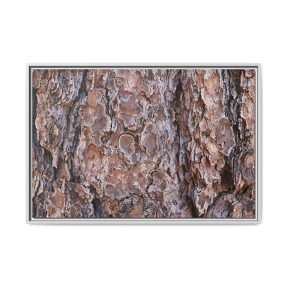 Woody Layers - Unique Stretched Canvas Wall Art