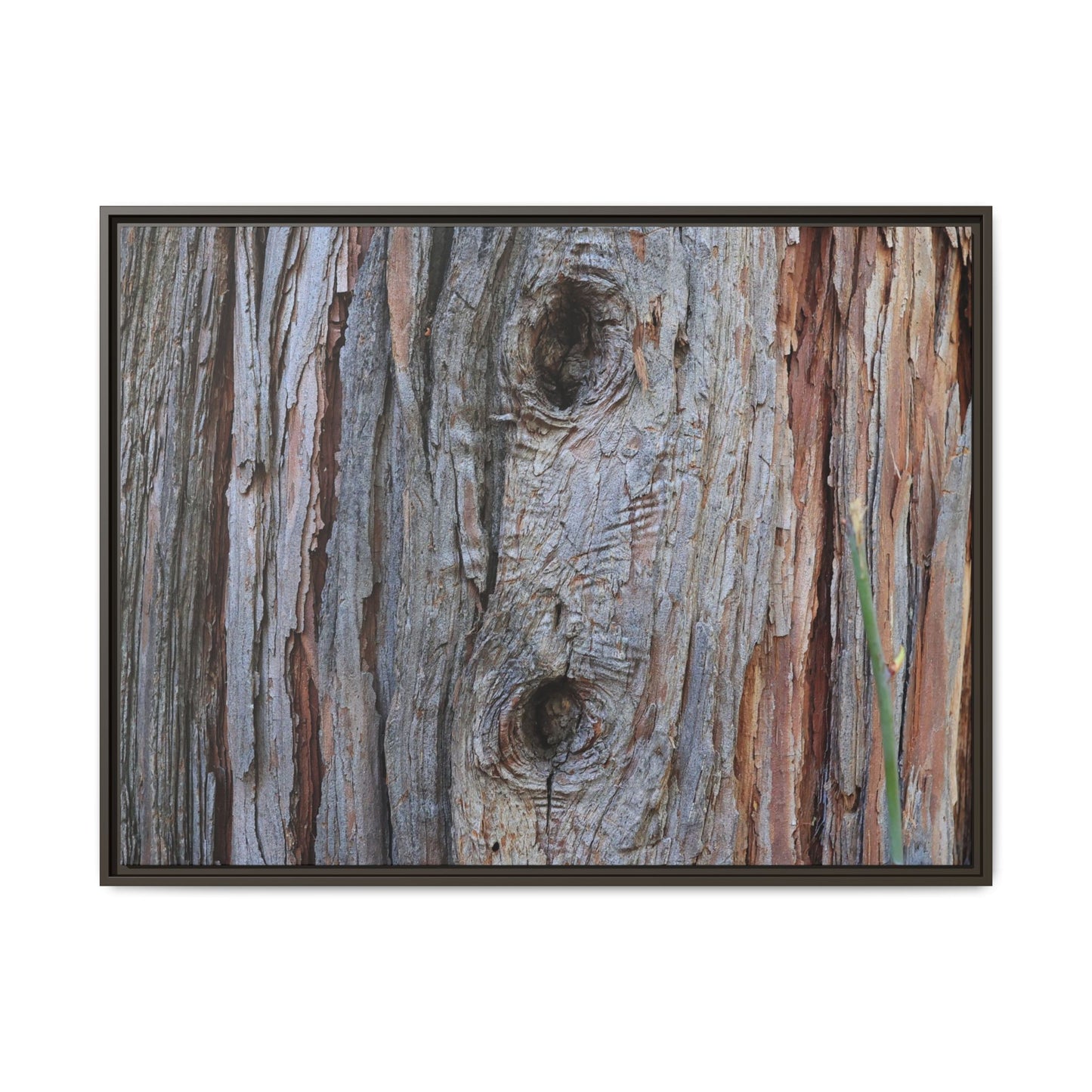 Knotty Nature - Unique Stretched Canvas Wall Art
