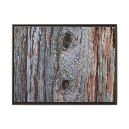 Knotty Nature - Unique Stretched Canvas Wall Art