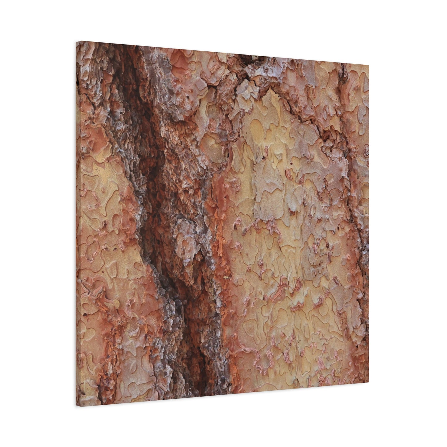 Arboreal Secrets - Unique Frameless Canvas Wall Art - Art By Earth