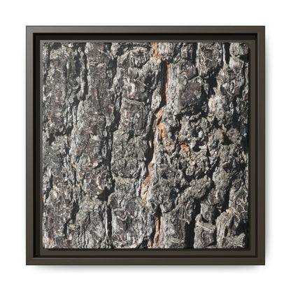 Aged Beauty - Unique Stretched Canvas Wall Art