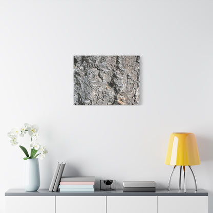 Elemental Canvas - Unique Frameless Canvas Wall Art
