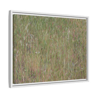 Field of Dreams - Unique Stretched Canvas Wall Art