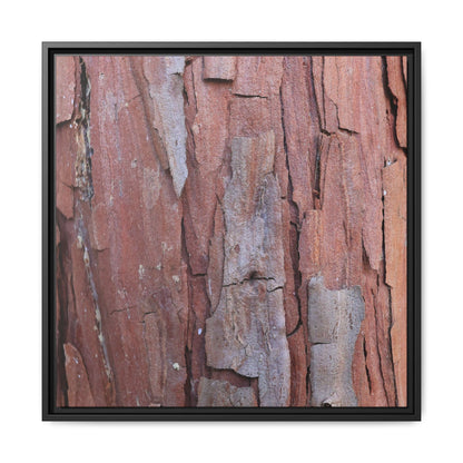 Peeling Bark - Unique Stretched Canvas Wall Art