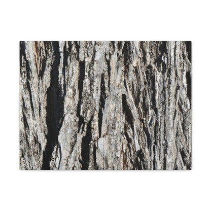 Bark Layers in Monochrome - Unique Frameless Canvas Wall Art
