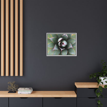 Spiky Elegance - Unique Stretched Canvas Wall Art