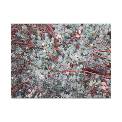 Whispers of Silver and Rust - Unique Frameless Canvas Wall Art