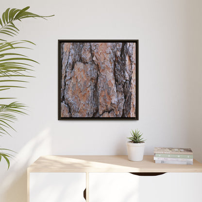 Tree Skin Symphony - Unique Stretched Canvas Wall Art