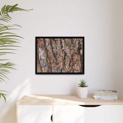 Tree's Timeworn Tale - Unique Stretched Canvas Wall Art