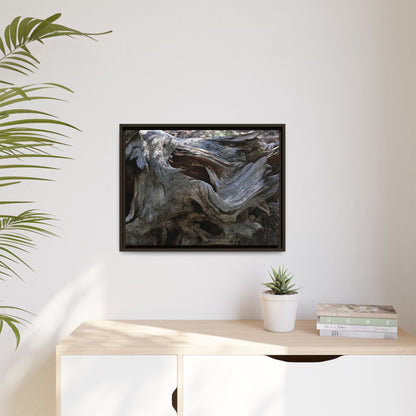 Twisted Memories - Unique Stretched Canvas Wall Art