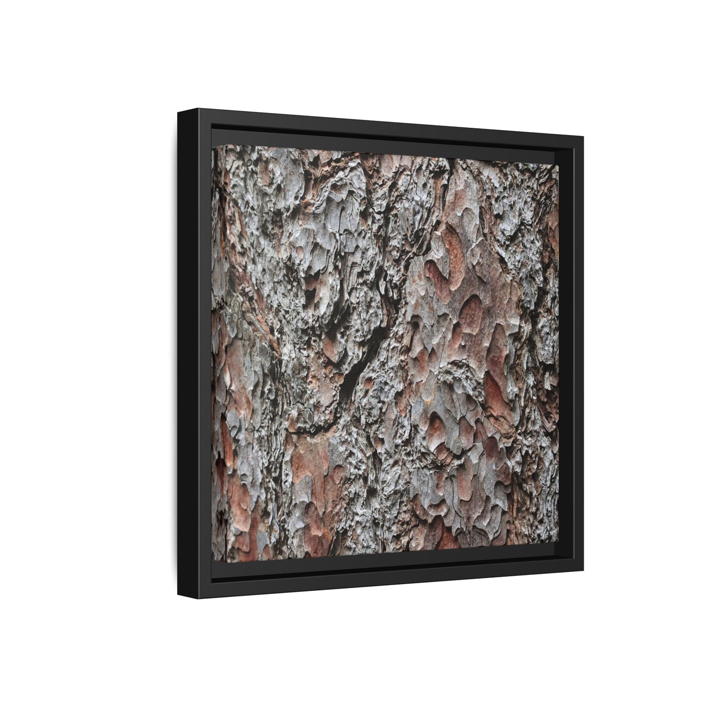 Bark Texture Symphony - Unique Stretched Canvas Wall Art