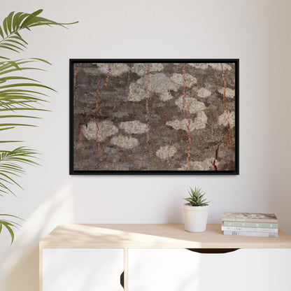 Lichen's Legacy - Unique Stretched Canvas Wall Art