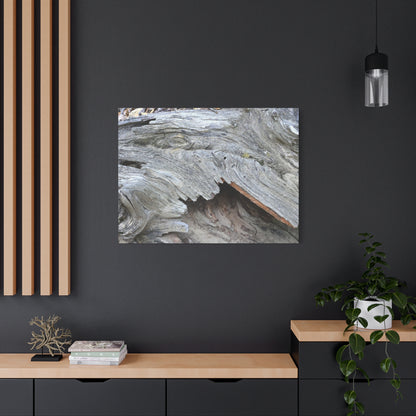 Whispers of Ancient Wood - Unique Frameless Canvas Wall Art