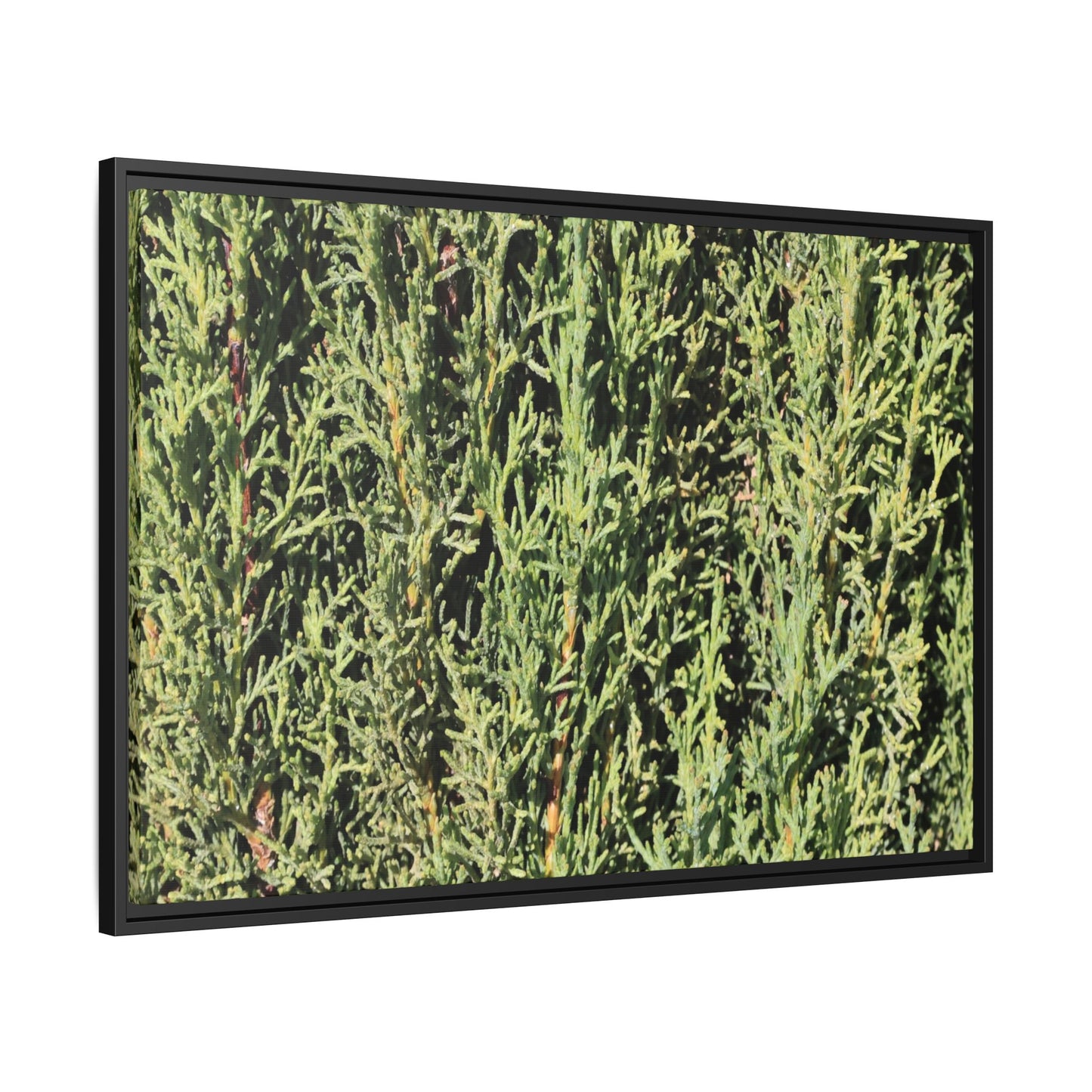 Emerald Labyrinth - Unique Stretched Canvas Wall Art - Art By Earth