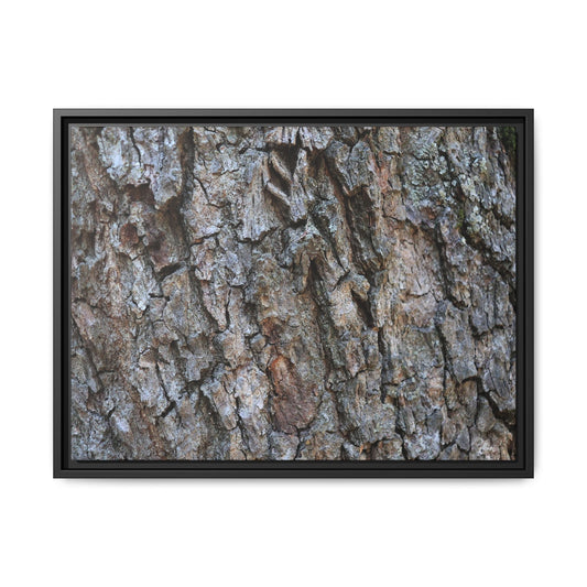 Woodland Skin - Unique Stretched Canvas Wall Art