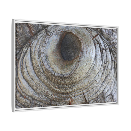 Echoes of Time - Unique Stretched Canvas Wall Art