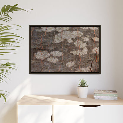 Lichen's Legacy - Unique Stretched Canvas Wall Art