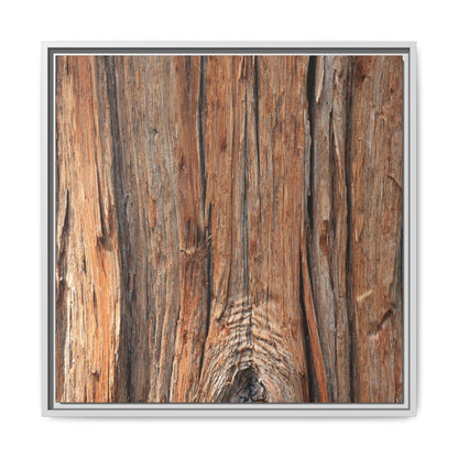 Echoes of Timber - Unique Stretched Canvas Wall Art