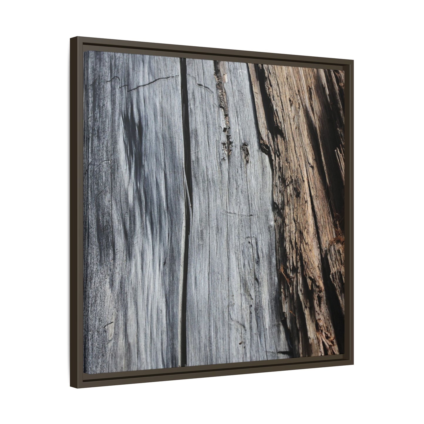 Wood's Lament - Unique Stretched Canvas Wall Art