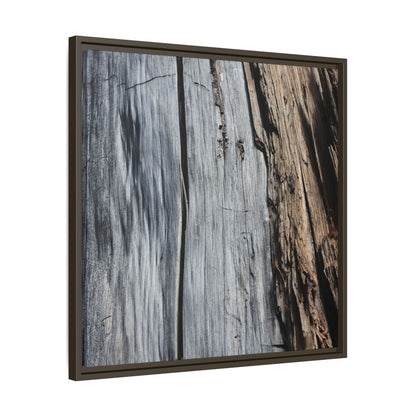 Wood's Lament - Unique Stretched Canvas Wall Art