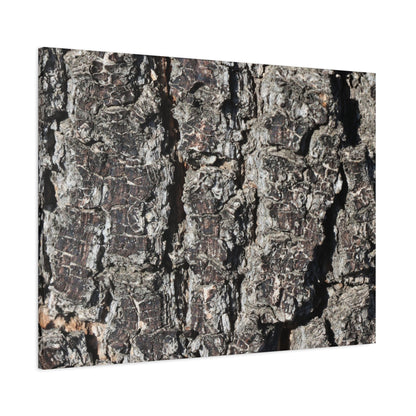 Cracked Skin of Earth - Unique Frameless Canvas Wall Art