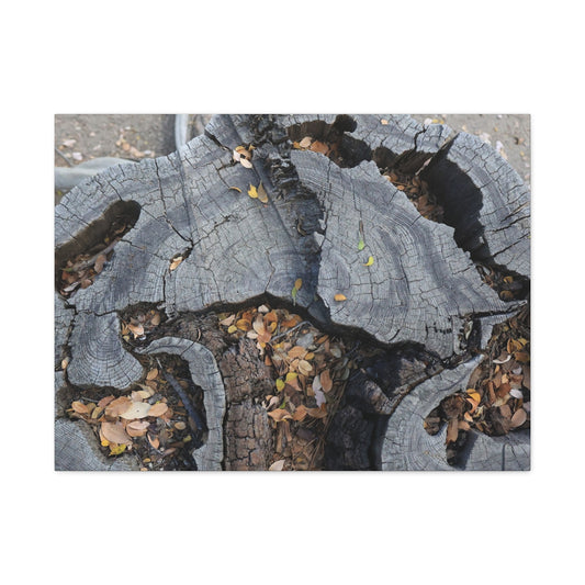 Weathered Woodland Whispers - Unique Frameless Canvas Wall Art