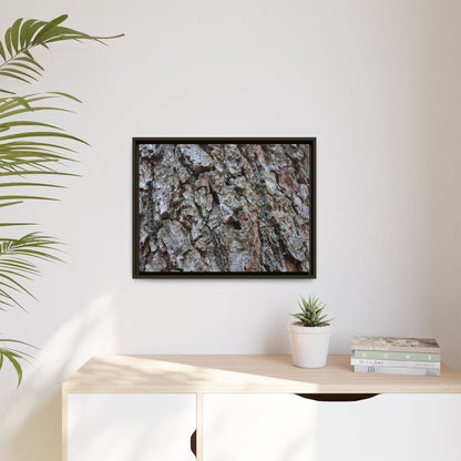 Woodland Canvas - Unique Stretched Canvas Wall Art