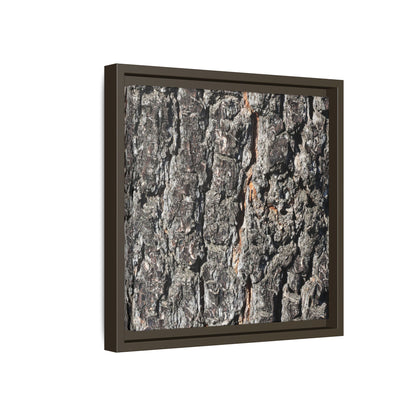 Aged Beauty - Unique Stretched Canvas Wall Art