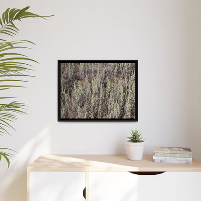 Sage Fields Forever - Unique Stretched Canvas Wall Art - Art By Earth