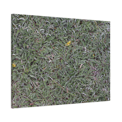 Tangled Memories - Unique Frameless Canvas Wall Art